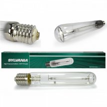 mini2-ampoule-floraison-sylvania.jpg