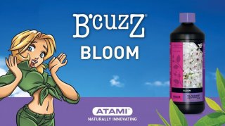 mini2-atami-bloom.stimulator.jpg