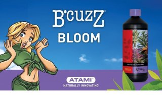 mini2-atami-coco-bloom.stimulator.jpg
