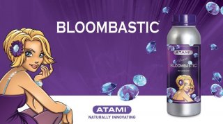 mini2-atami-bloombastic-.jpg