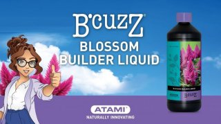 mini2-atami-blossom-builder.jpg